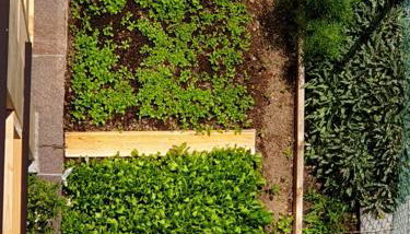 ANESI appartamenti - Foto 3