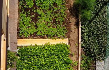 ANESI appartamenti - Foto 3