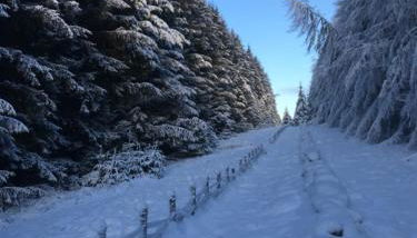 Gorgeous boutique off-grid cottage near Peebles - Foto 5