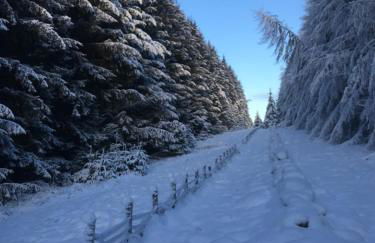 Gorgeous boutique off-grid cottage near Peebles - Foto 5