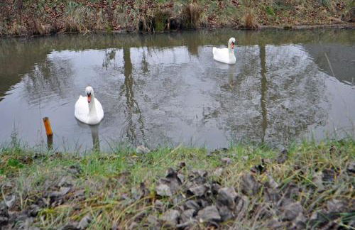 Ferienwohnung An der Wieke, 65295 - Foto 8