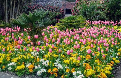 Bexhill Old Town Retreat - Foto 35