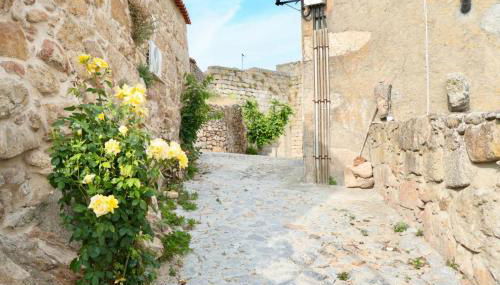 Casinha Das Portas - Foto 5