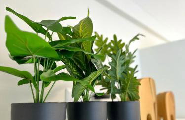 JM1001 - Charme e conforto no Rosarinho - Foto 36