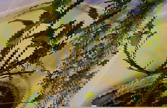 In+Residence - Foto 29