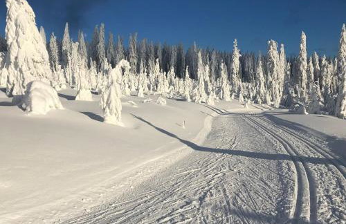 Apartment 2 Pers- inkl- Aqacur in Bad Kötzting by Interhome - Foto 23