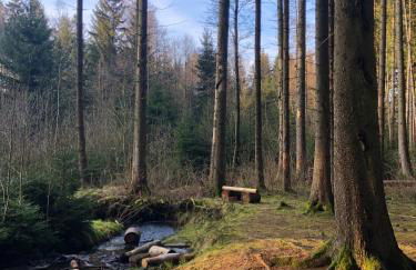 Hundeurlaub im Tiny House im Wald - Foto 48