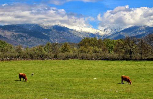 Apartamentos Rurales Entre Fuentes - Foto 39