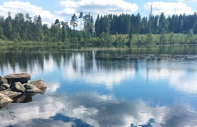 4 Person Holiday Home in Rorvik-by Traum - Foto 20