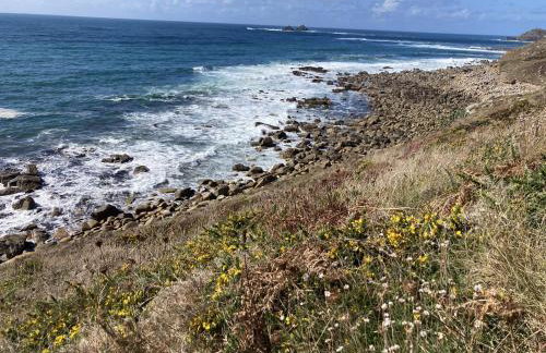 Treovis Farm - Photo 42