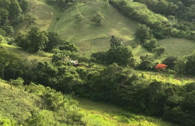 Rancho Fernandez - Photo 20