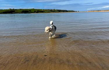 Mirador de Usil - Foto 25