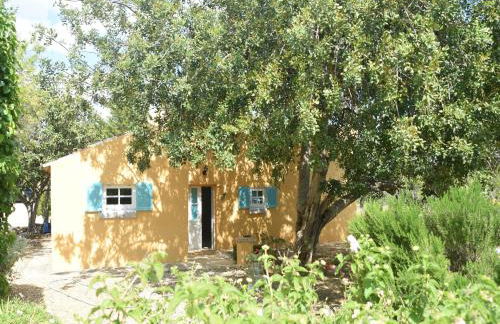 Attractive Portuguese Farm With Modern Decoration - Foto 13