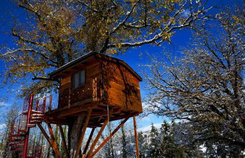 Casa sull'albero Bocchineri - Photo 47