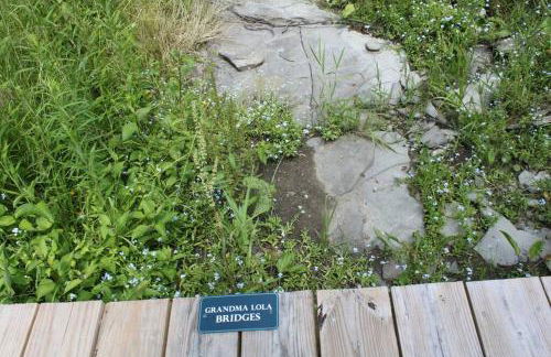 Silver Lake Cabin w/ Own Lake! (near Cooperstown) - Foto 47