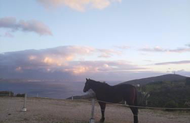 Balcony to the Aegean - Foto 42