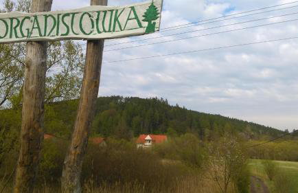 Organistowka - Foto 8