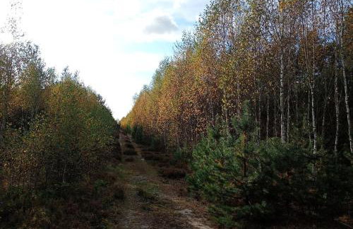 Siedlisko Radogoszcz, jacuzzi ,sauna - Foto 40