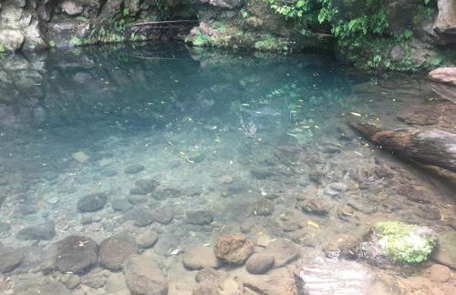 Lar de Santana - Photo 64