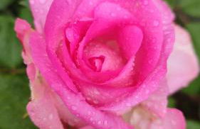 Maison plain pied, 2 chambres, longère typique , fraiche, dans bourg avec tous commerces - Foto 10