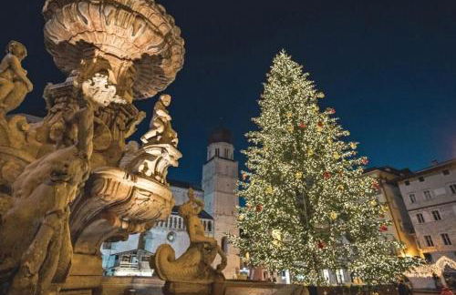 Apartment Harmony - Ischia - Lago di Caldonazzo - Foto 17