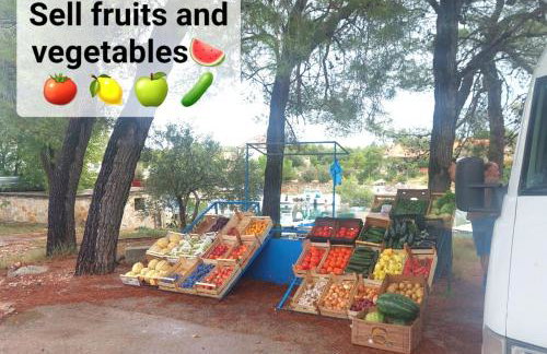 Apartman Karla - Foto 30