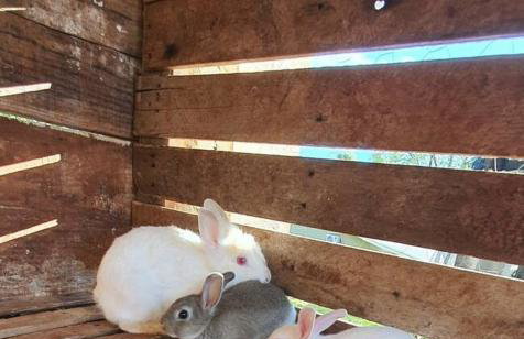 Casa de campo de alto padrão à beira da represa - Foto 18