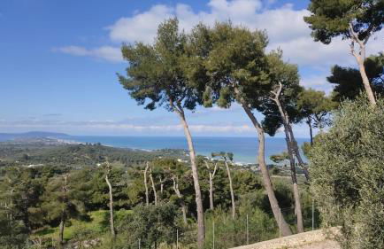 Lunamora 4 - Foto 24