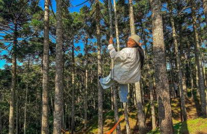 Cambará Ecomoradas - Foto 31