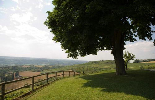 Bricco Rosso - Foto 78