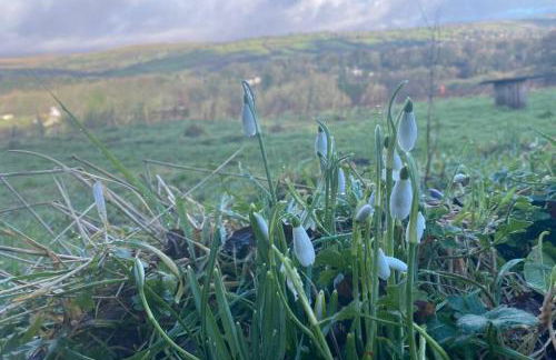 Stags View,Unique eco cabin, Dartmoor views - Foto 31