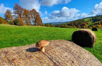 Apartament Sadyba - Foto 40