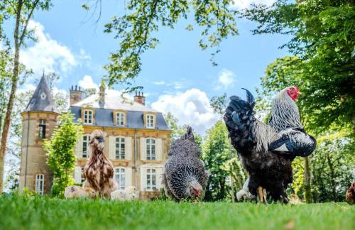Private Château with sauna, hot tub & 4ha park - Château Guillermo - Photo 31