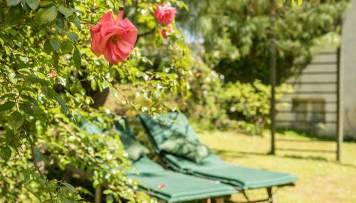 Ferienhäuschen Fischbach - Foto 3