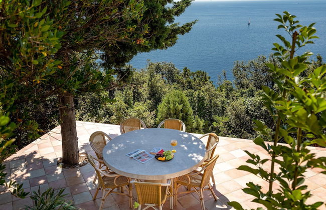 Stone Houses Dingač - Foto 37