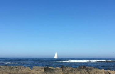 Bela Vista - Foto 23