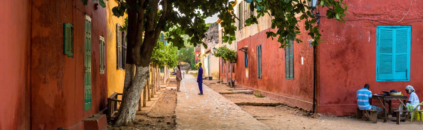 Excursion privée sur l'île de Gorée et au Lac Rose