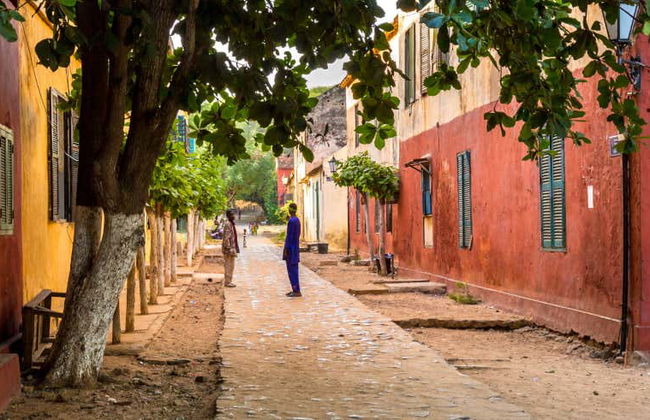Excursion privée sur l'île de Gorée et au Lac Rose - Photo 1