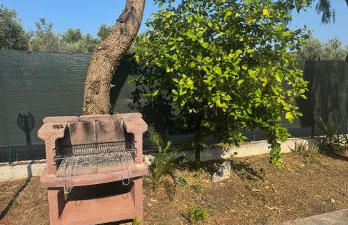 Appartamenti Le Porte del Gargano - Foto 39