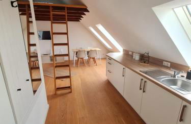 Studio Apartment for 1-2 People with Rhine View - Foto 14