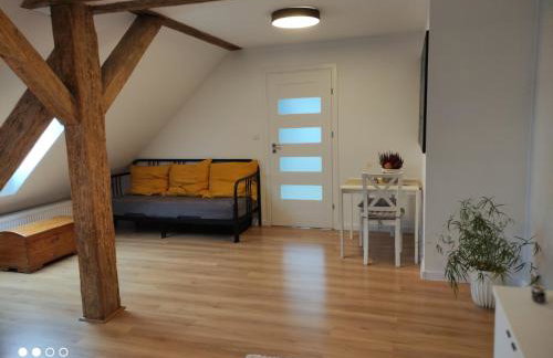 Mieszkanie nad jeziorem Olsztyn - Photo 13