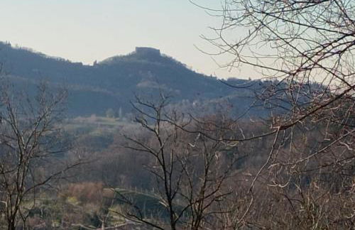 Agriturismo La Collina delle Api - Foto 37