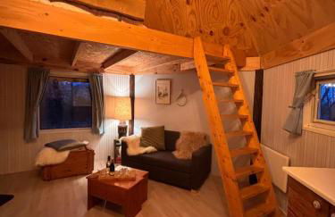 Finnish Kota - Photo 4