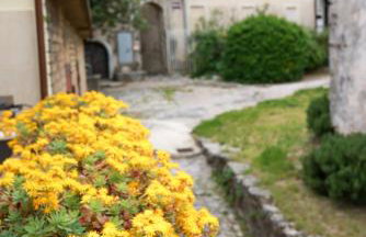 APARTMANI NAD VOLTUN - Photo 57