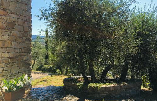 Celle di Lecchi Fienile - Foto 56