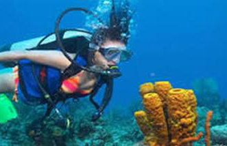 Apartments Issa - Foto 132