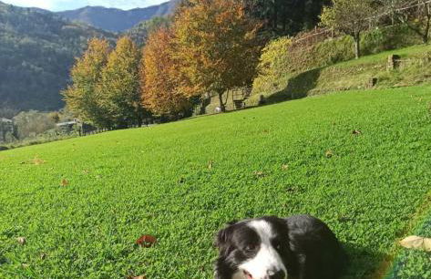 Il Bosco di Campo Marzano green & sky - Foto 14