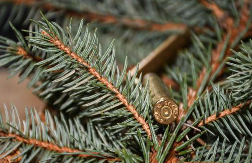 Sękowa Ostoja - Foto 9