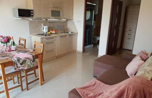 Willa na wzgórzu - Foto 31