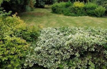 Birmingham Bungalow Serviced Apartment NEC Airport Bullring - Foto 8